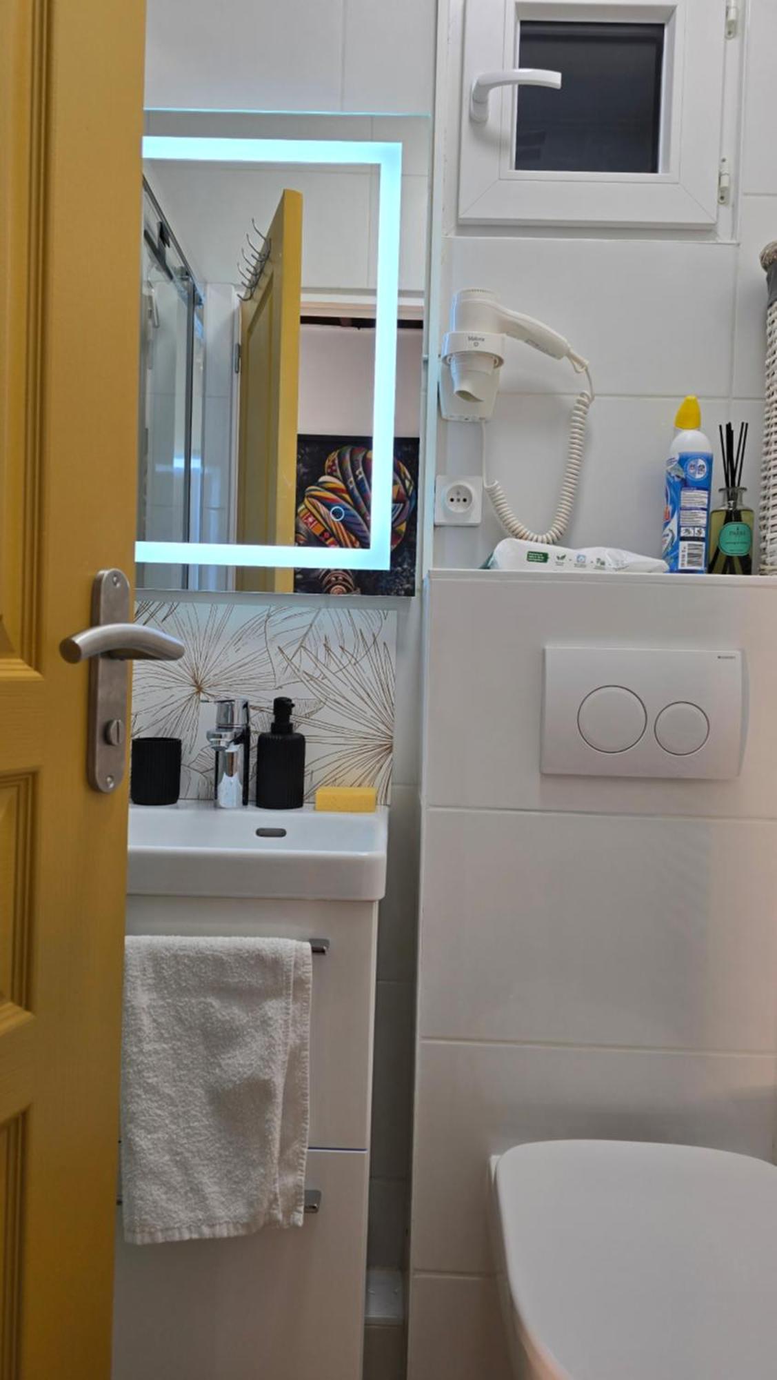 Mini Dore 10m2 Appartement Massy (Essonne)